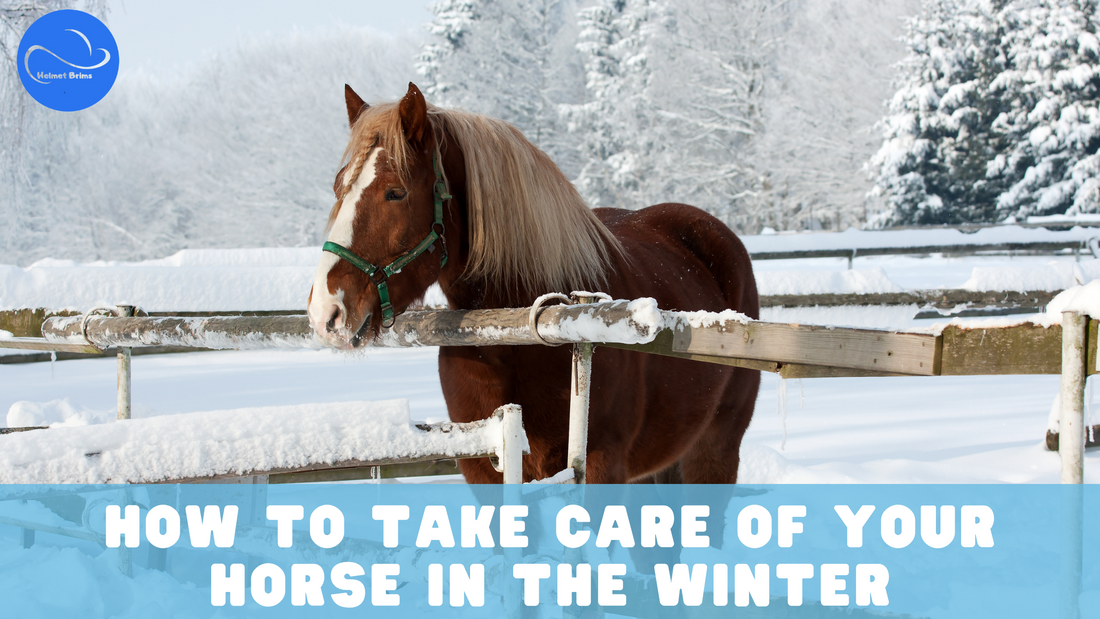 Horse in Snow, Horse care tips in the winter with Helmet Brims