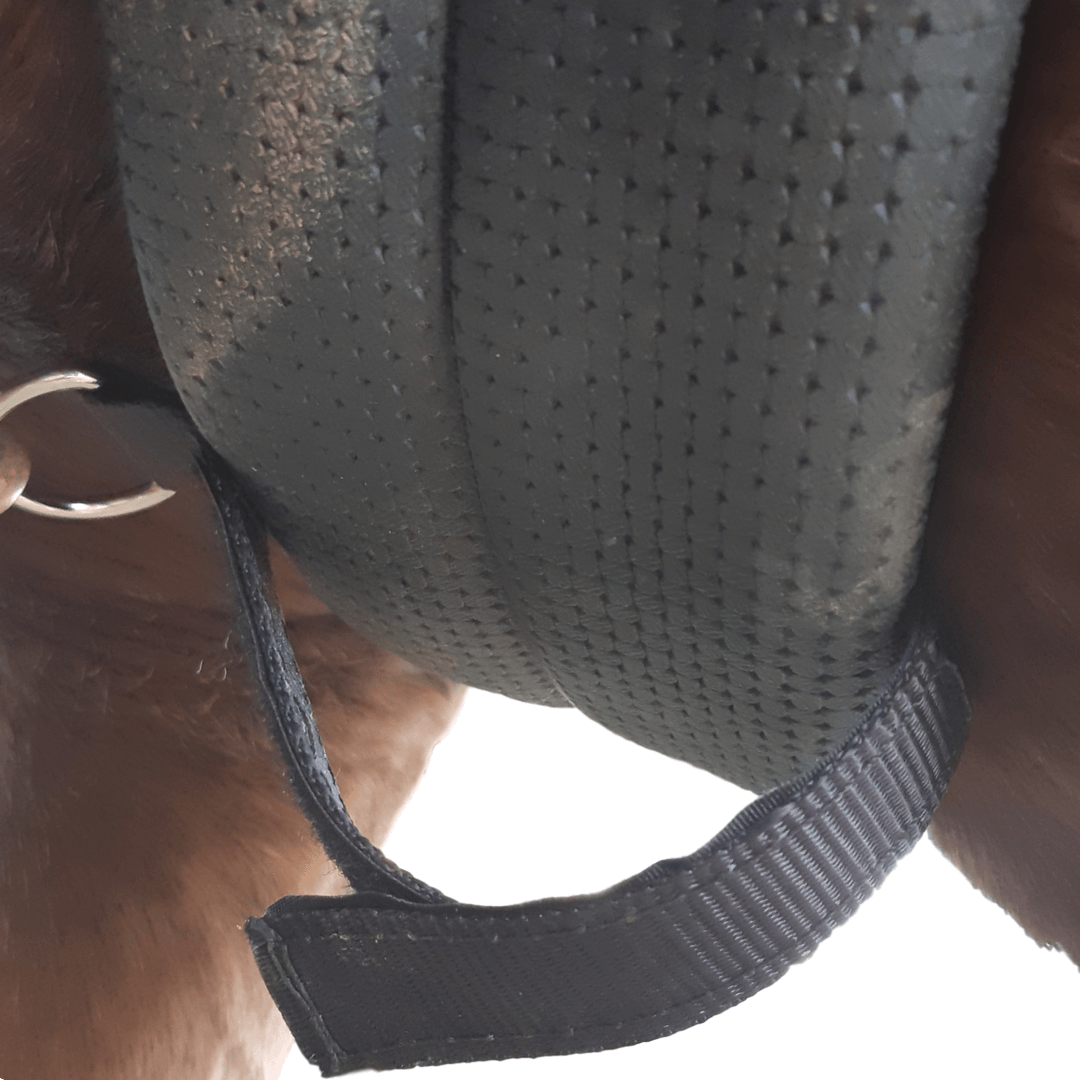 horse-adjustable-girth loop -fully adjusted-ring facing down 1