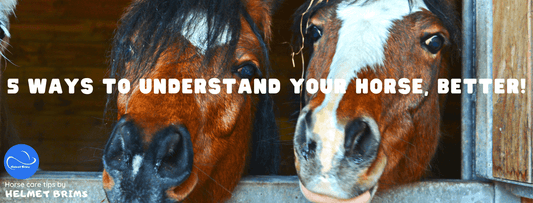 5 reasons to understand your horse, better