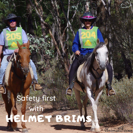 Which horse riding helmet is safest?