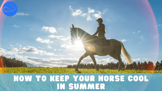 How to Keep Your Horse Cool in Summer title, Helmet Brims Australia