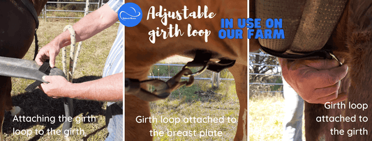 The how, why and what of the adjustable girth loop by Helmet Brims