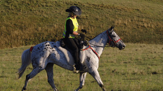 Woman horse rider wearing Helmet Brims