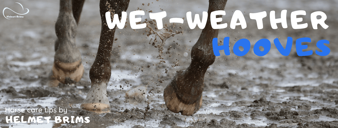 caring for horses in wet wether