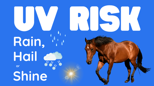 UV Risk Rain, Hail or Shine, for horse riders of all disciplines, worldwide