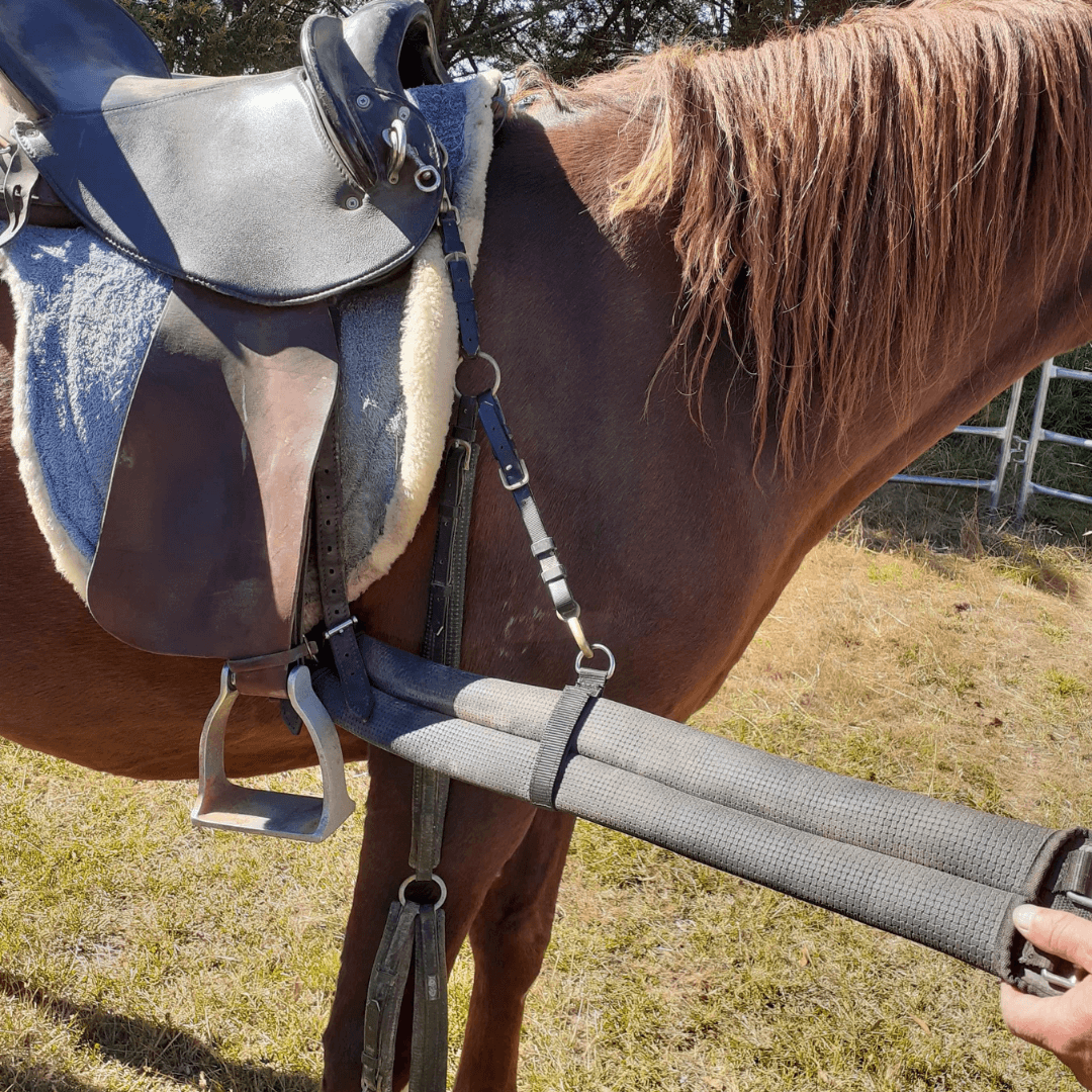 adjustable girth loop by helmet brims attached to breast plate to the saddle